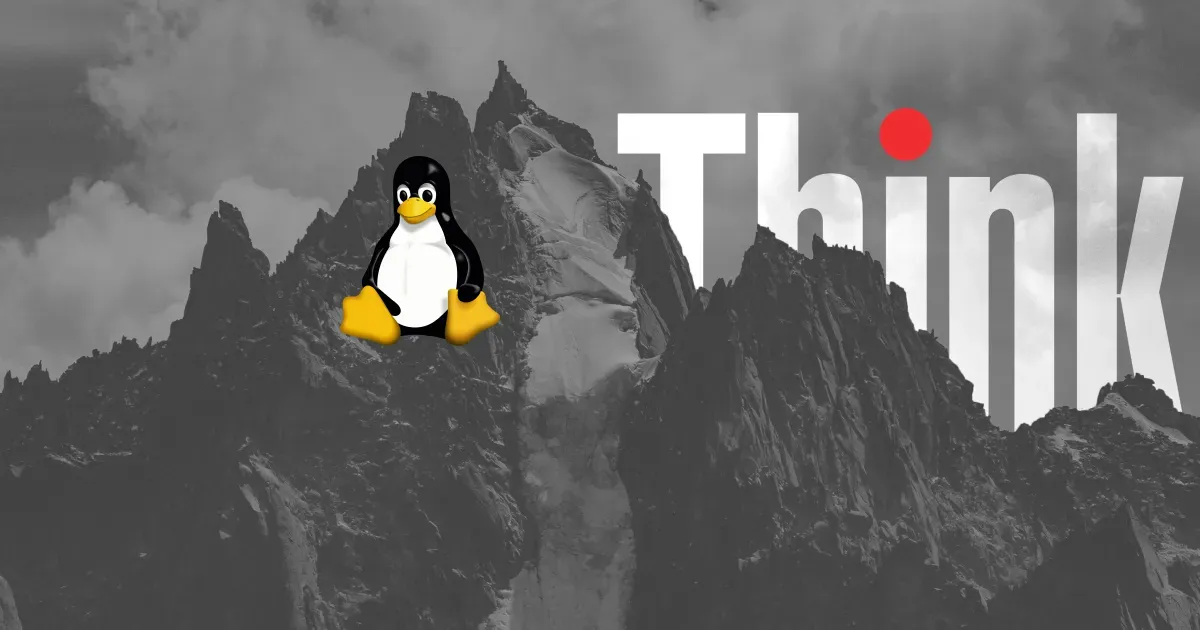 Turning My T480 ThinkPad into a Homelab Server